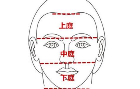 面相 上庭 中庭 下庭